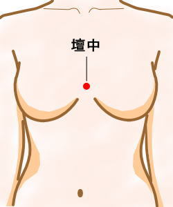 だん中(だんちゅう)